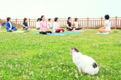 写真：ヨガ風景1