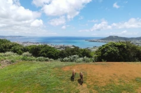 写真：ホースファーム