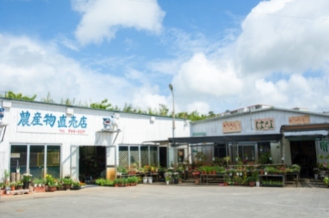 農産物直売店 畑人（はるさー）市
